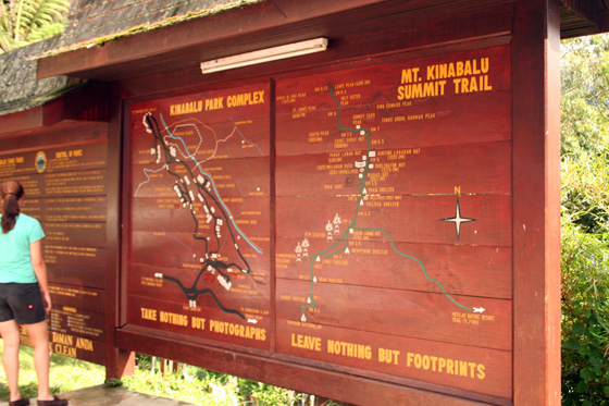 Kinabalu National Park 6