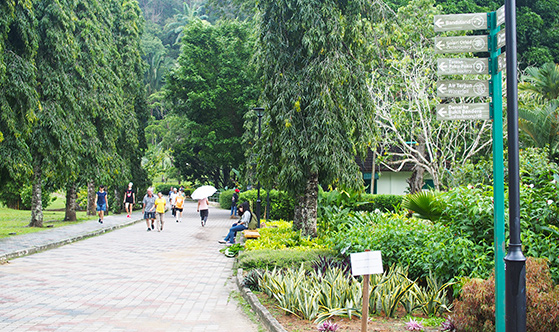 botanic-gardens-penang-2
