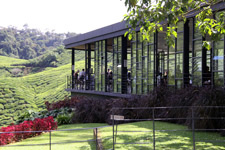 Trip Cameron Highlands BOH restaurant 2