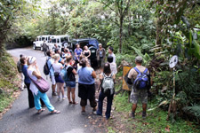 Trip Cameron Highlands tour group