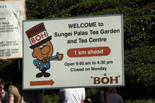 Trip Cameron Highlands BOH sign