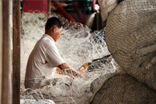 Fisherman at work Fisherman at work