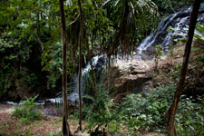 Durian Waterfall Durian Waterfall