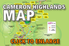 Map Cameron Highlands - Click to enlarge Map Cameron Highlands