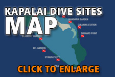 Map dive spots Kapalai - Click to enlarge Map dive spots Kapalai