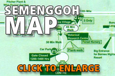 Map Semenggoh Wildlife Centre - Click to enlarge Map Semenggoh Wildlife Centre