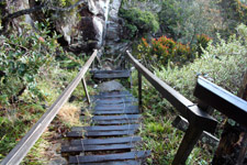 Wooden stairs along the trail