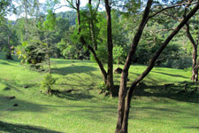 Botanic Gardens