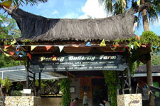 Butterfly Farm 1