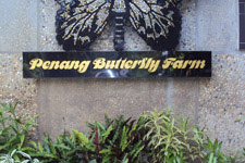 Butterfly Farm 2