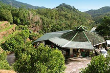 Tropical Fruit Farm