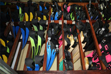 Fins at Watercolours