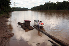 Kinabatangan River 1 Kinabatangan River 1