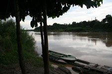 Kinabatangan River 2 Kinabatangan River 2