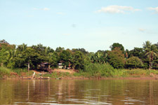 Kinabatangan River 4 Kinabatangan River 4
