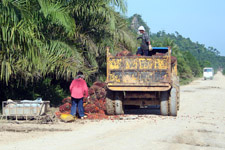 Truck carrying palm oil seeds Truck carrying palm oil seeds