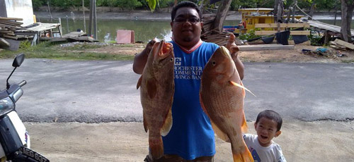 Catch of the day at Sembilan Island Catch of the day at Sembilan Island