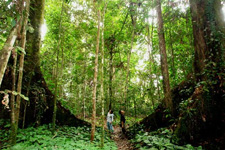 Tawau Hills National Park Tawau Hills National Park