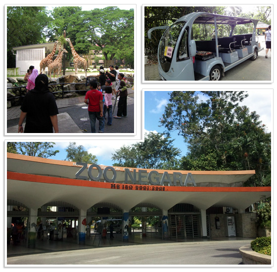 Kuala Lumpur national zoo