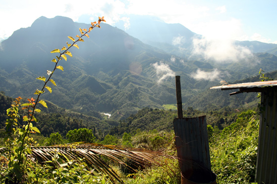 Kinabalu National Park 2