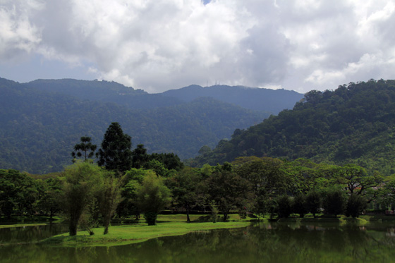 Taiping Bukit Larut (Maxwell Hill) 1