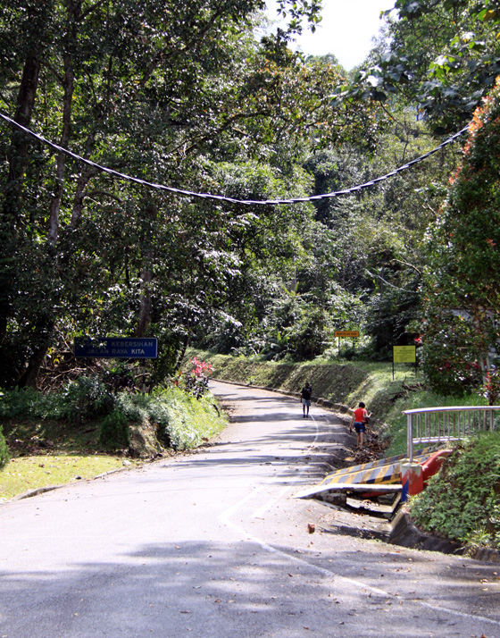 Taiping Bukit Larut (Maxwell Hill) 2