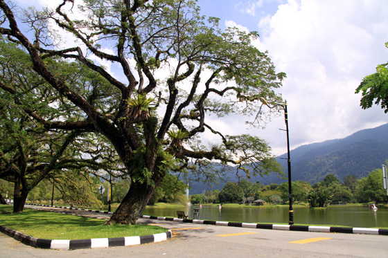 Taiping Taman Tasik 1