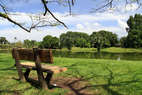 Taiping Taman Tasik 3