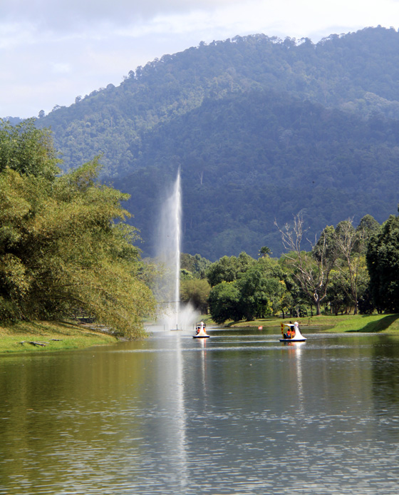 Taiping Taman Tasik 5