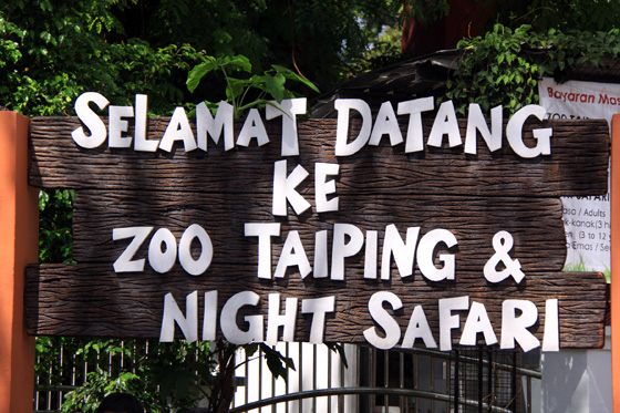 Taiping Zoo & Night Safari 1