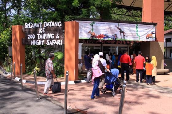 Taiping Zoo & Night Safari 1