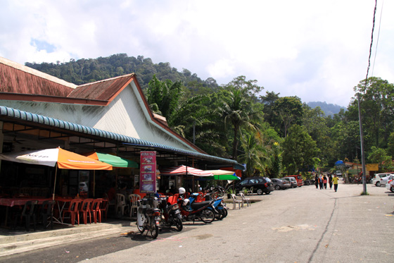 Bukit Larut (Maxwell Hill) 1