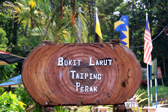 Bukit Larut (Maxwell Hill) 10