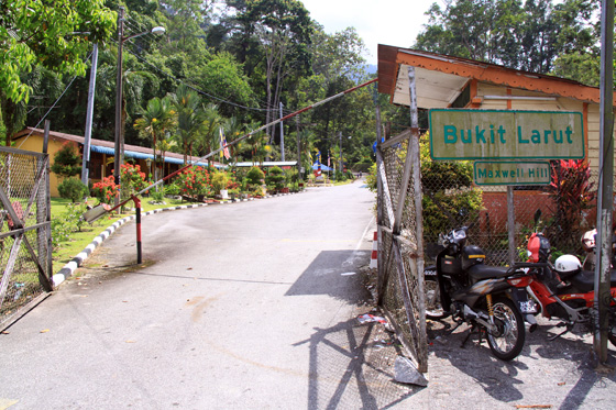 Bukit Larut (Maxwell Hill) 2