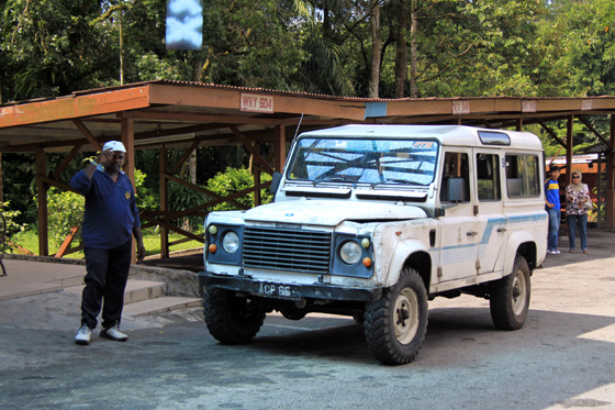 Bukit Larut (Maxwell Hill) 6