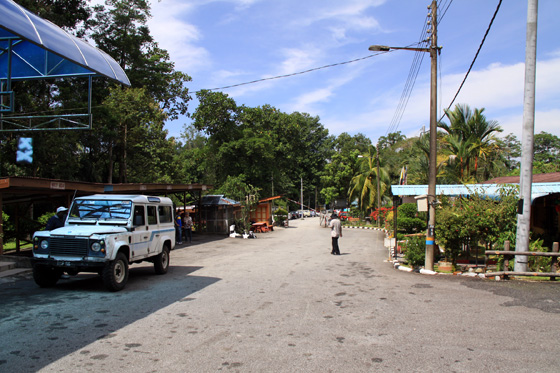 Bukit Larut (Maxwell Hill) 7