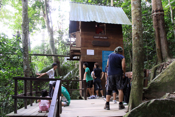 frim canopy walkway 1