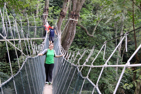 frim canopy walkway 3