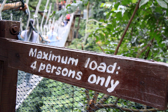 frim canopy walkway 5