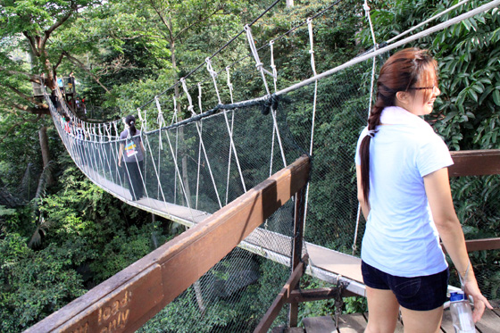 frim canopy walkway 6