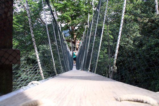 frim canopy walkway 7