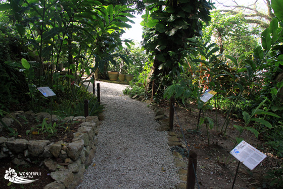 tropical spice garden penang 7