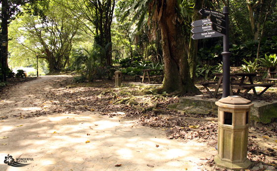 quiet day at perdana botanical gardens