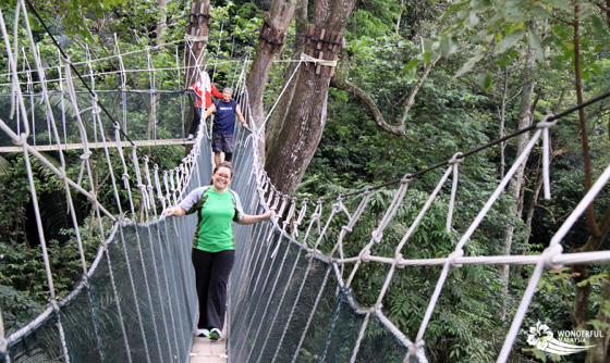 fun at frim canopy walk