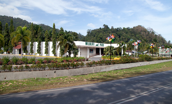 bird-paradise-wildlife-park-langkawi-1