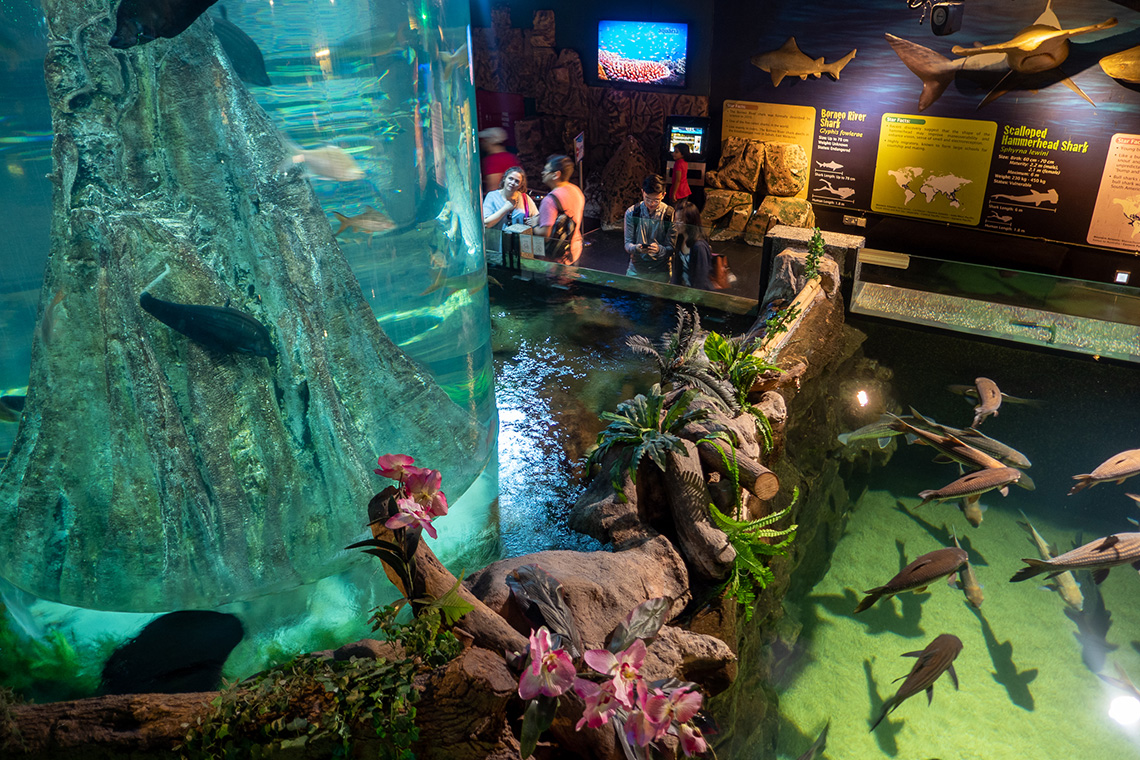 Aquaria klcc