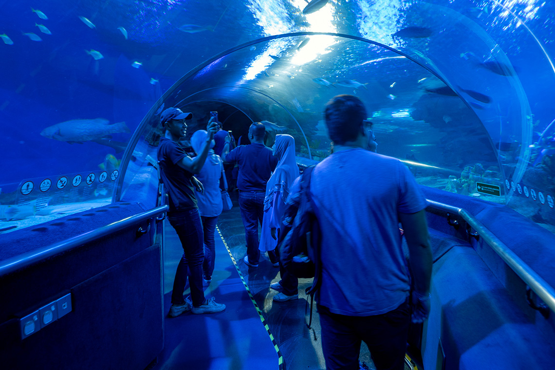 Aquaria KLCC, shark tank