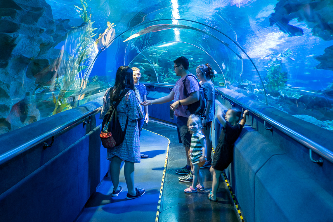 Aquaria KLCC, big fish tunnel