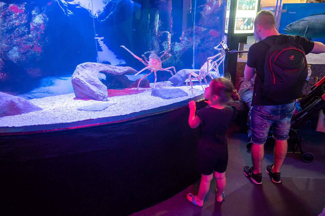 Aquaria KLCC, stunning underwater world