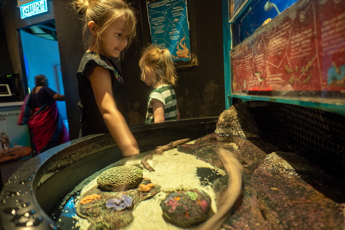 Aquaria KLCC, up close with sea creatures